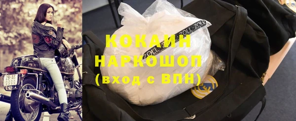 ешки Тавда