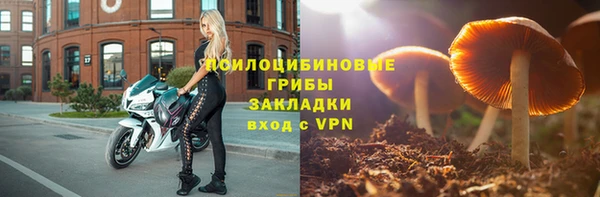 дживик Сясьстрой