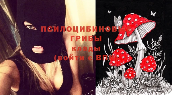 наркотики Бородино