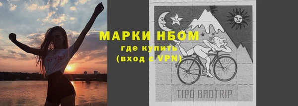 амф Тайга