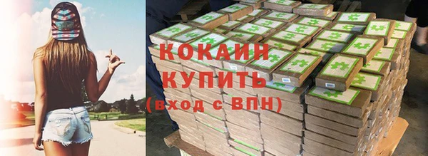 дживик Сясьстрой