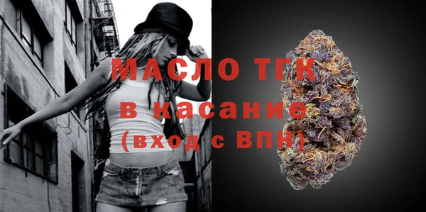 амф Тайга