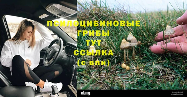 прущая мука Бугульма