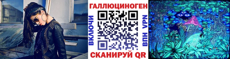 Галлюциногенные грибы Cubensis мега tor Кирсанов закладки